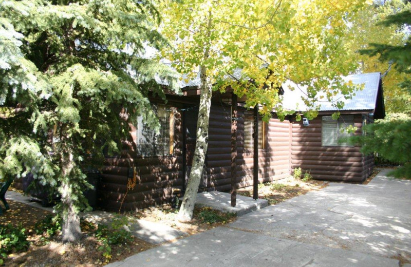 Cabin exterior at Yellowstone Wildlife Cabins.