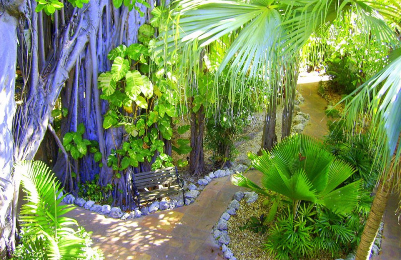 Garden and sitting area at The Banyan Resort.