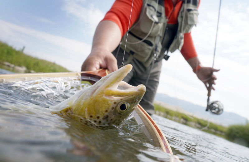 Fishing at Best Western Helena Great Northern Hotel.