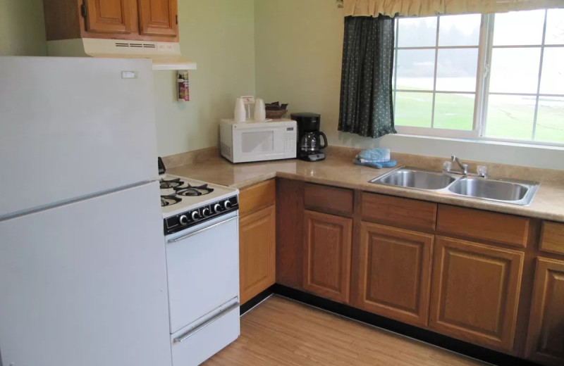 Cabin kitchen at Rain Forest Resort Village.