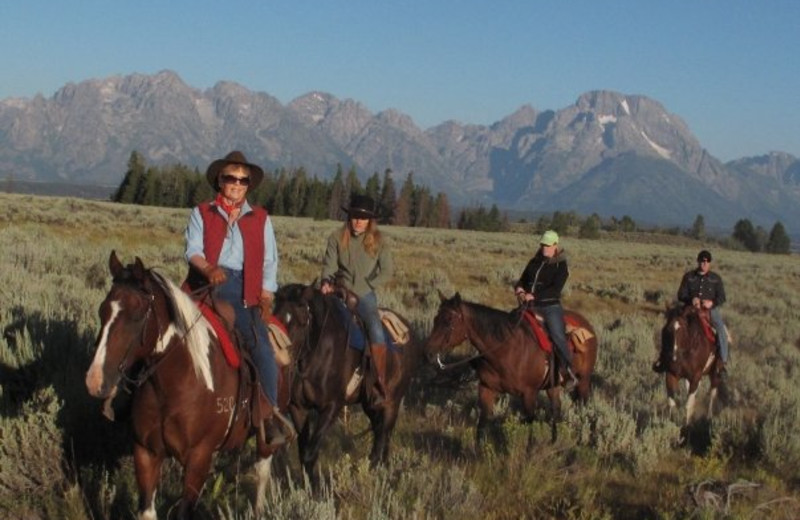 Trail ride at Triangle X Ranch.