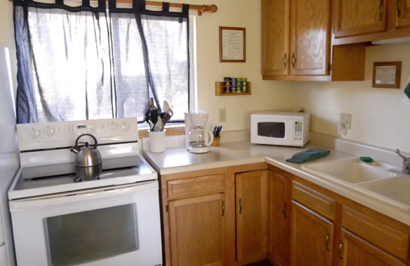 Cabin kitchen at Rainbow Drive Resort.