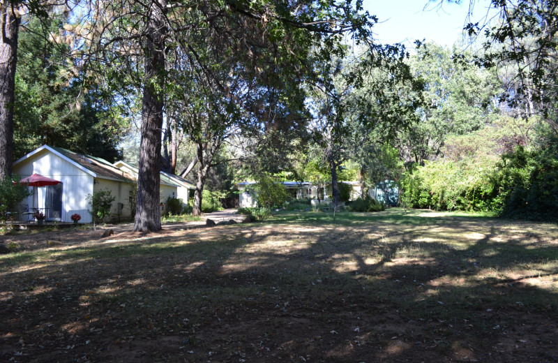 Exterior view of Backyard Garden Oasis B 