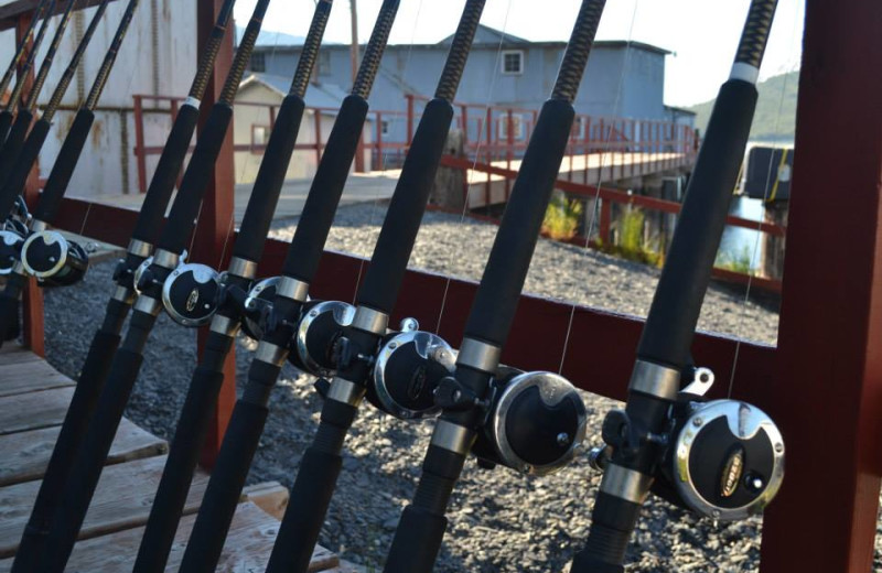 Fishing poles at Zachar Bay Lodge.