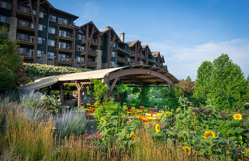 Exterior view of Minerals Hotel.