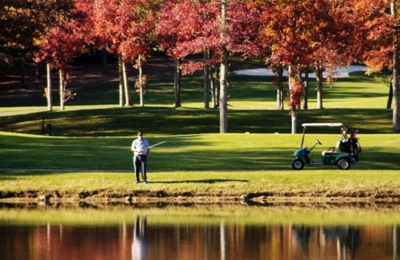 Golfing at The Resort at Glade Springs