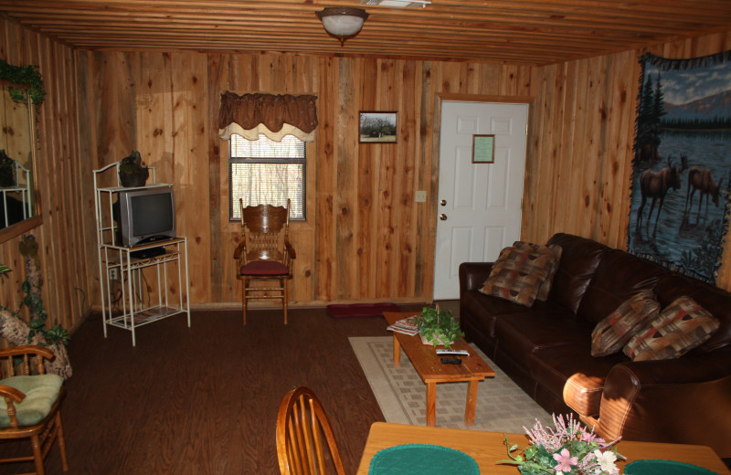 Moose Lodge living room at Heath Valley Cabins.