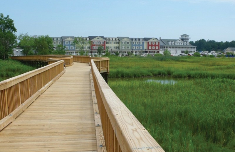 Boardwalk at Smithfield Station.