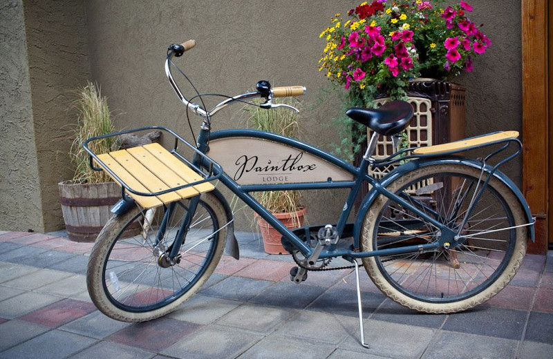 Paintbox Bike at Paintbox Lodge 