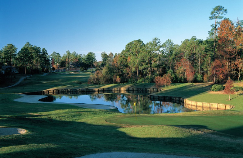 Golf course near Perdido Beach Resort.