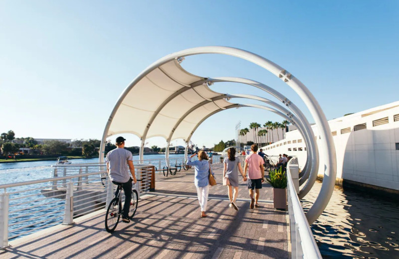 Boardwalk near Sheraton Tampa Riverwalk Hotel.