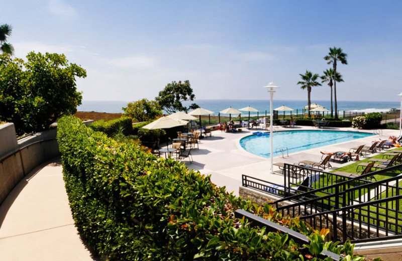 Adult Swimming Pool at the Carlsbad Seapointe Resort
