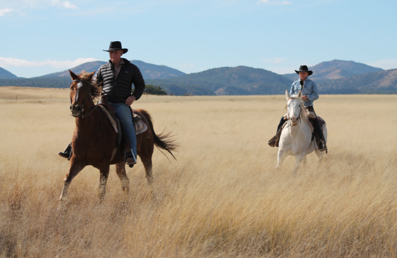 Riding horses at Circle Z Ranch.