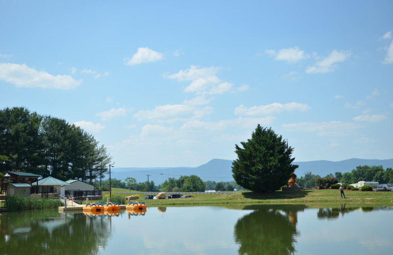 Fishing pond at Yogi Bear's Jellystone Park™ in Luray, VA.