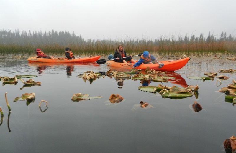 Many lakes to enjoy near DiamondStone Guest Lodges.