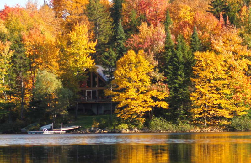 Fall leaves at Birchwood Inn.