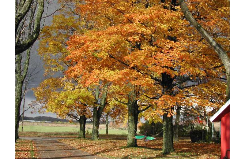 Fall at Sleeping Bear Bed & Breakfast.