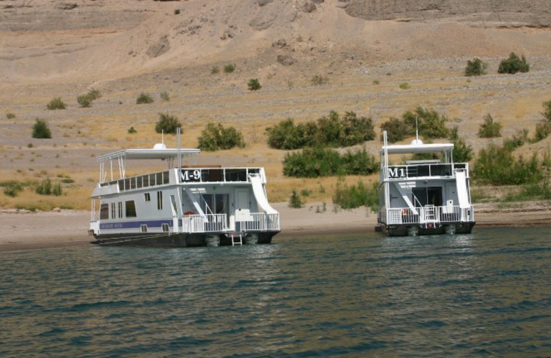 Houseboat exterior at Callville Bay.