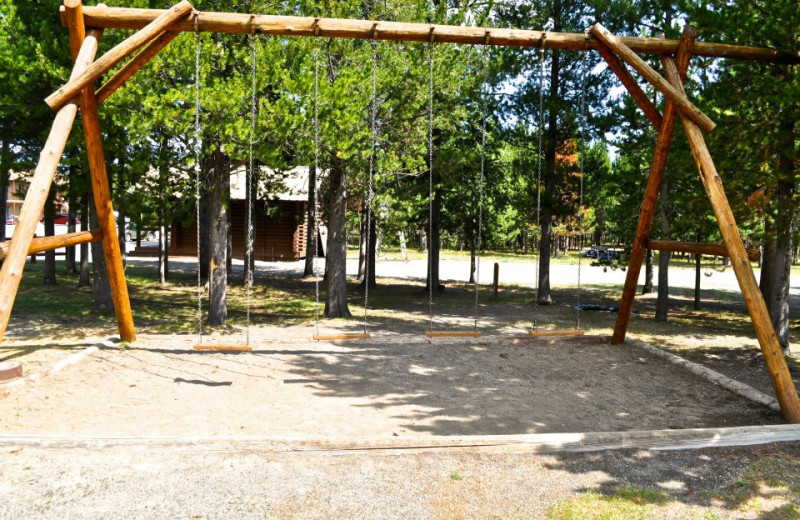 Swings at Sawtelle Mountain Resort.