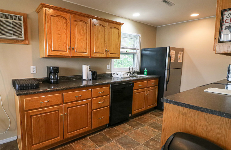 Cabin kitchen at Sand Lake Resort.