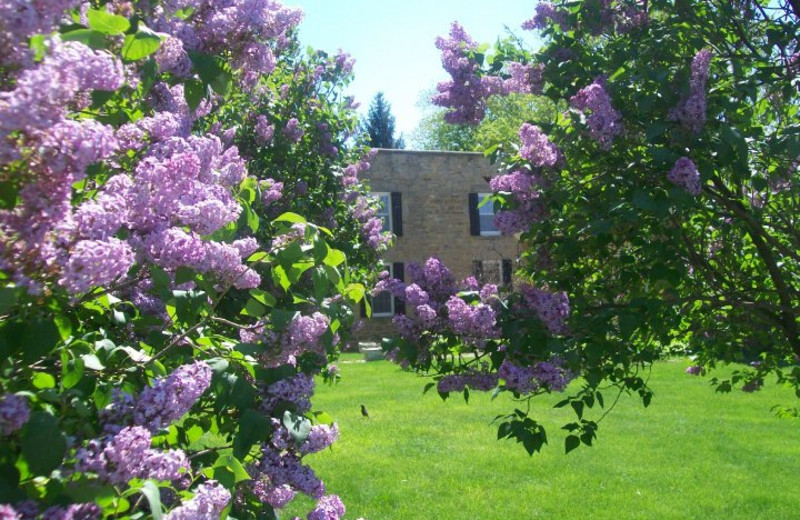 Spring at The Cothren House