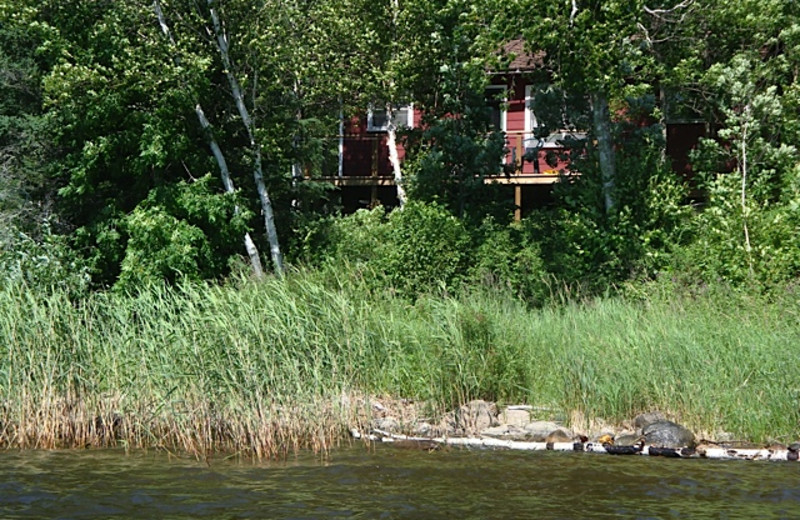 Cabin exterior at Rex Tolton's Miles Bay Camp.