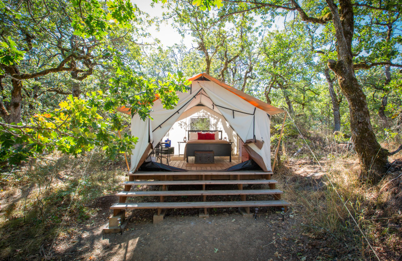 Yurt at Westcliff Lodge.