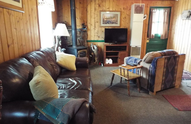 Cabin living room at Rustic River Cabins.