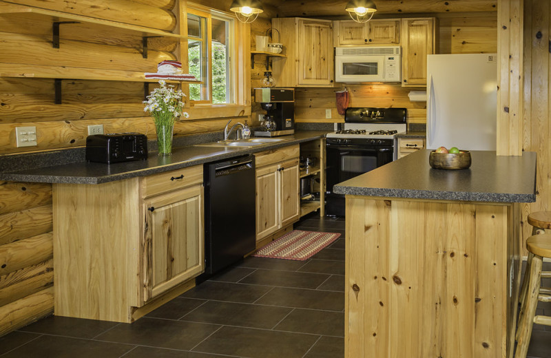 Cabin kitchen at White Eagle Resort.