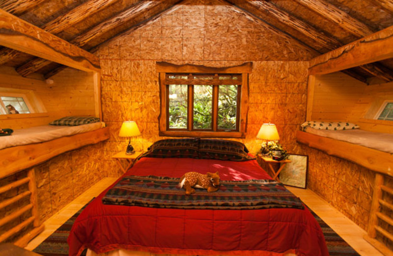 Cabin bedroom at Wellspring.