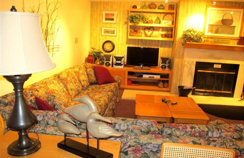 Fireplace living room at Highridge Condominiums.