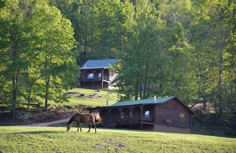 Exterior View of Horseshoe Canyon Ranch