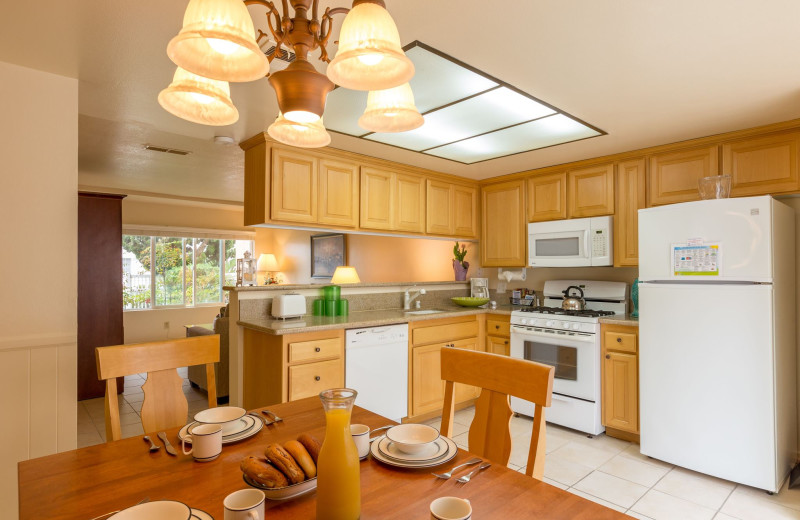 Guest kitchen at Channel Islands Shores.