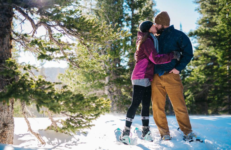 Snowshoeing at Darby Field Inn.