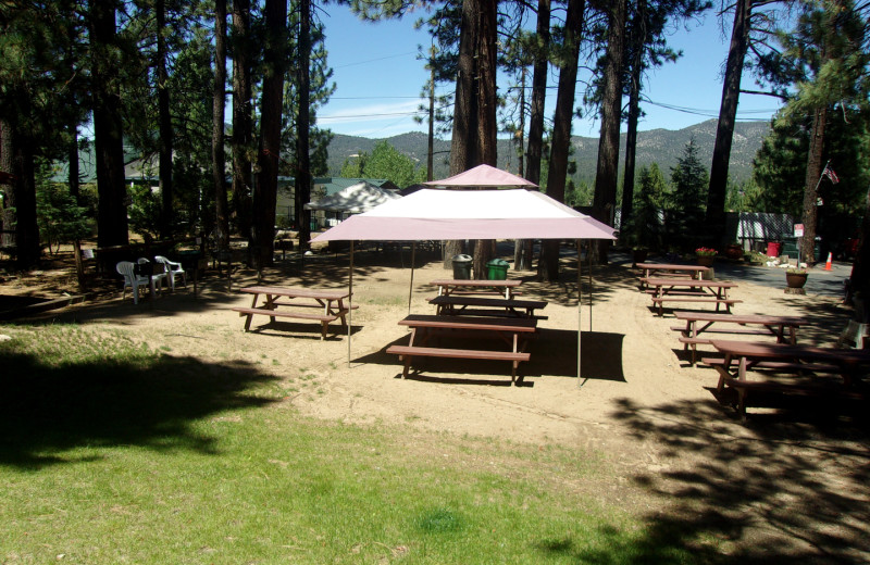 Picnic area at Honey Bear Lodge & Cabins.