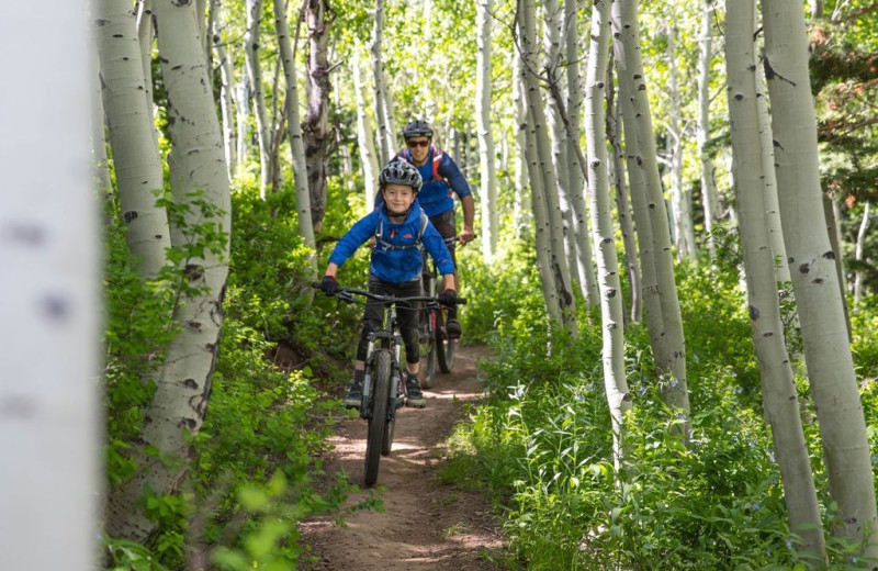 Biking through woods at Grand Summit Resort Hotel.