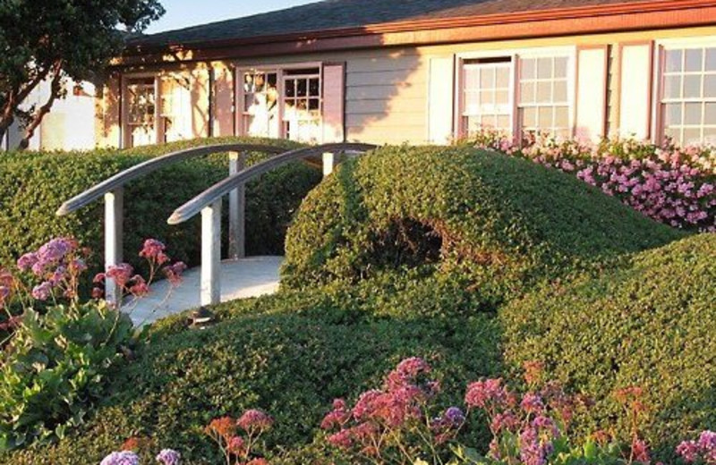 Exterior view of Sea Otter Inn.
