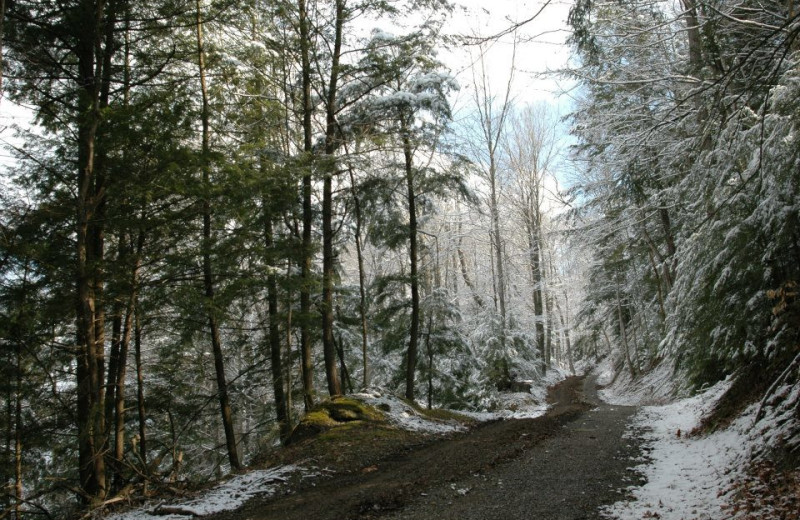 Winter road at Guggisberg Swiss Inn/Amish Country Riding Stables.