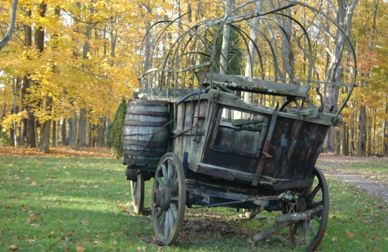 Wagon at Guggisberg Swiss Inn/Amish Country Riding Stables.