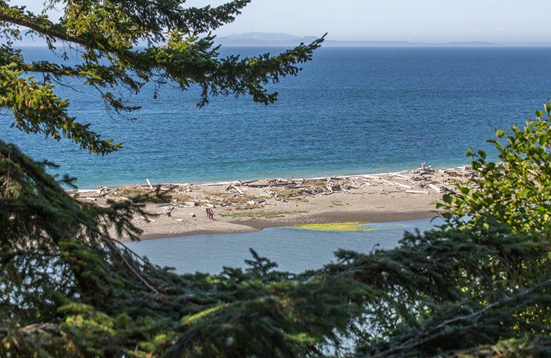 Beach view at Sequim Valley Properties.