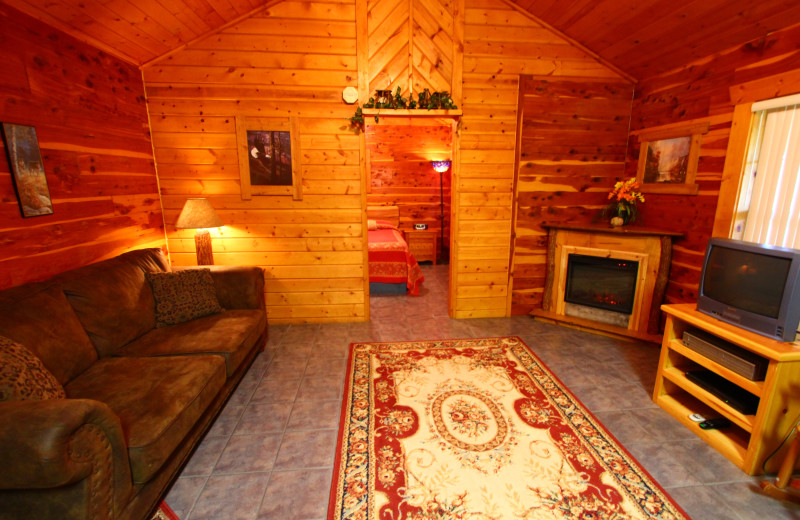 Spacious sitting area at Ozark Cabins.