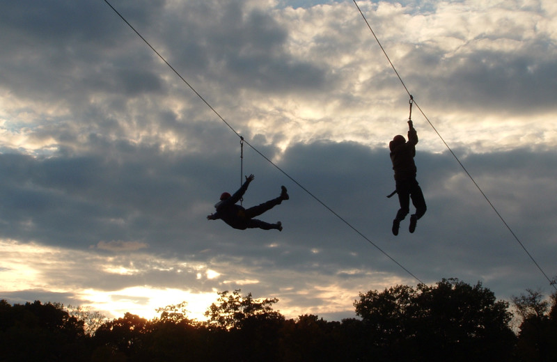 Zip line at The Thompson House.