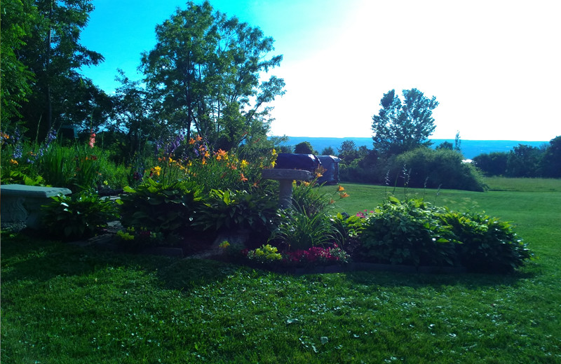 Exterior view of The Fox and The Grapes Bed and Breakfast.