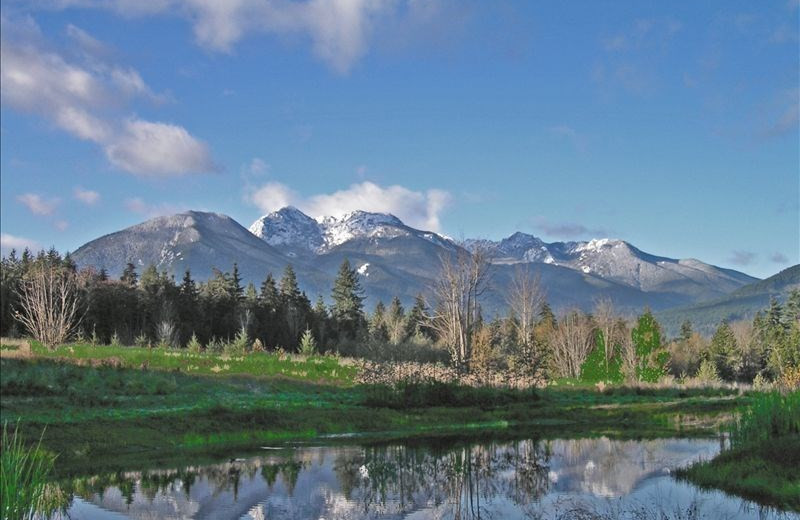 Mountains at Olympic View Cabins.