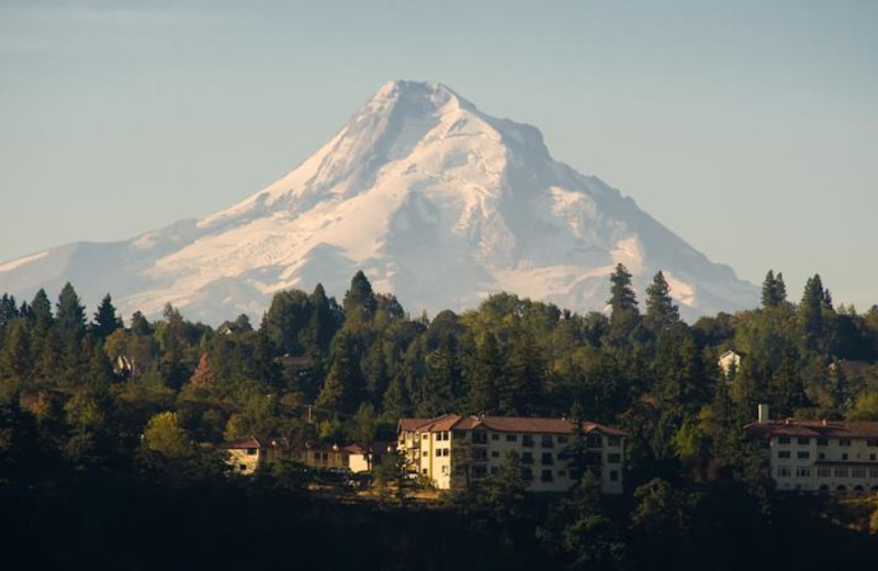 Mountain at Columbia Gorge Hotel.