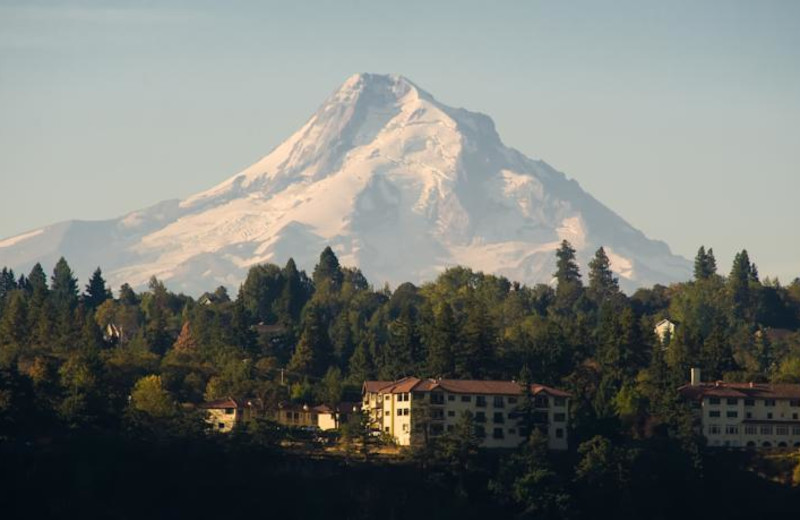 Mountain  at Columbia Gorge Hotel.