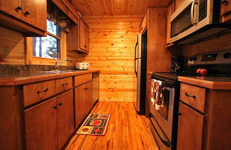 Cabin kitchen at Sautee Resorts.