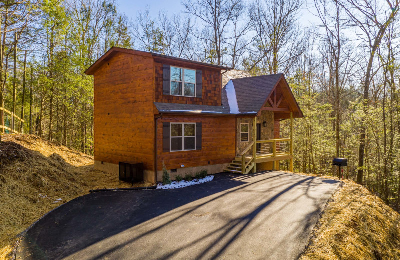 Exterior view of American Patriot Getaways - Bessy Bears Cabin.