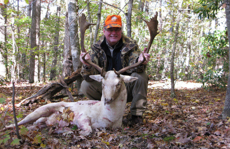 Fallow Deer hunting at Caryonah Hunting Lodge.