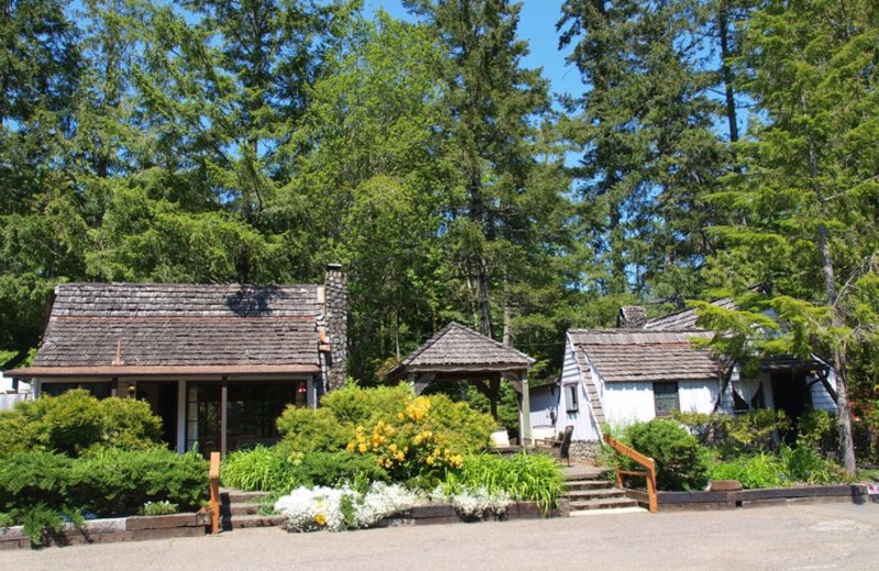 Resort view at Hood Canal Cottages.